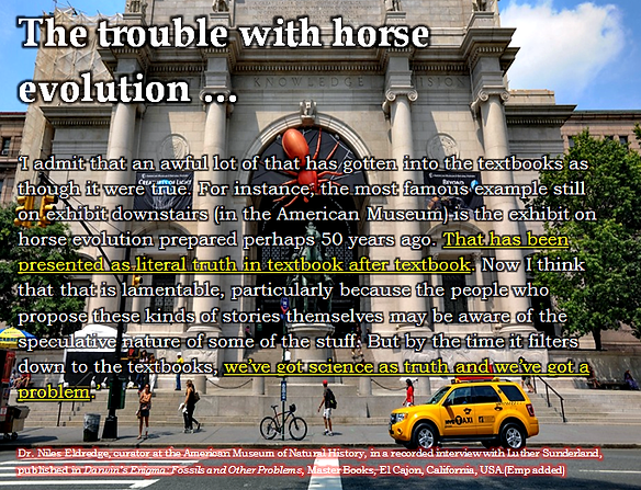 The trouble with horse evolution.bmp