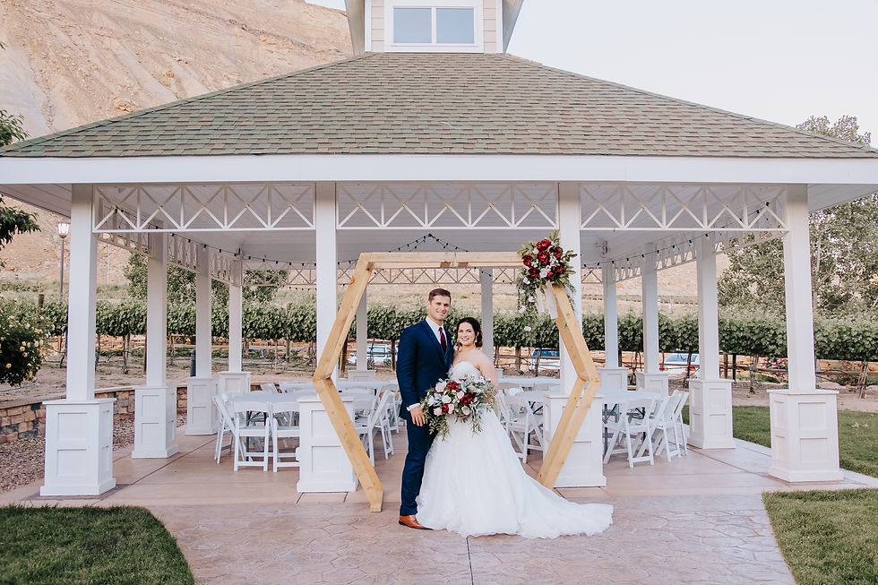 palisade vineyard wedding wine country inn