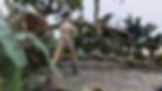 Diorama of a raptor stalking a man in the jungle.