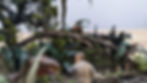 Diorama of the Clever Girl scene from Jurassic Park.