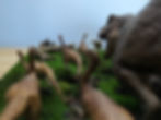 Small dinosaurs fleeing a T-Rex in a Galli-Trex Ambush scene.
