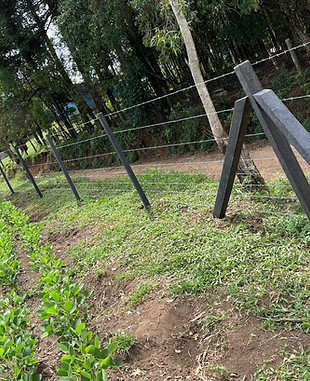 Cerca com palanque ecológico