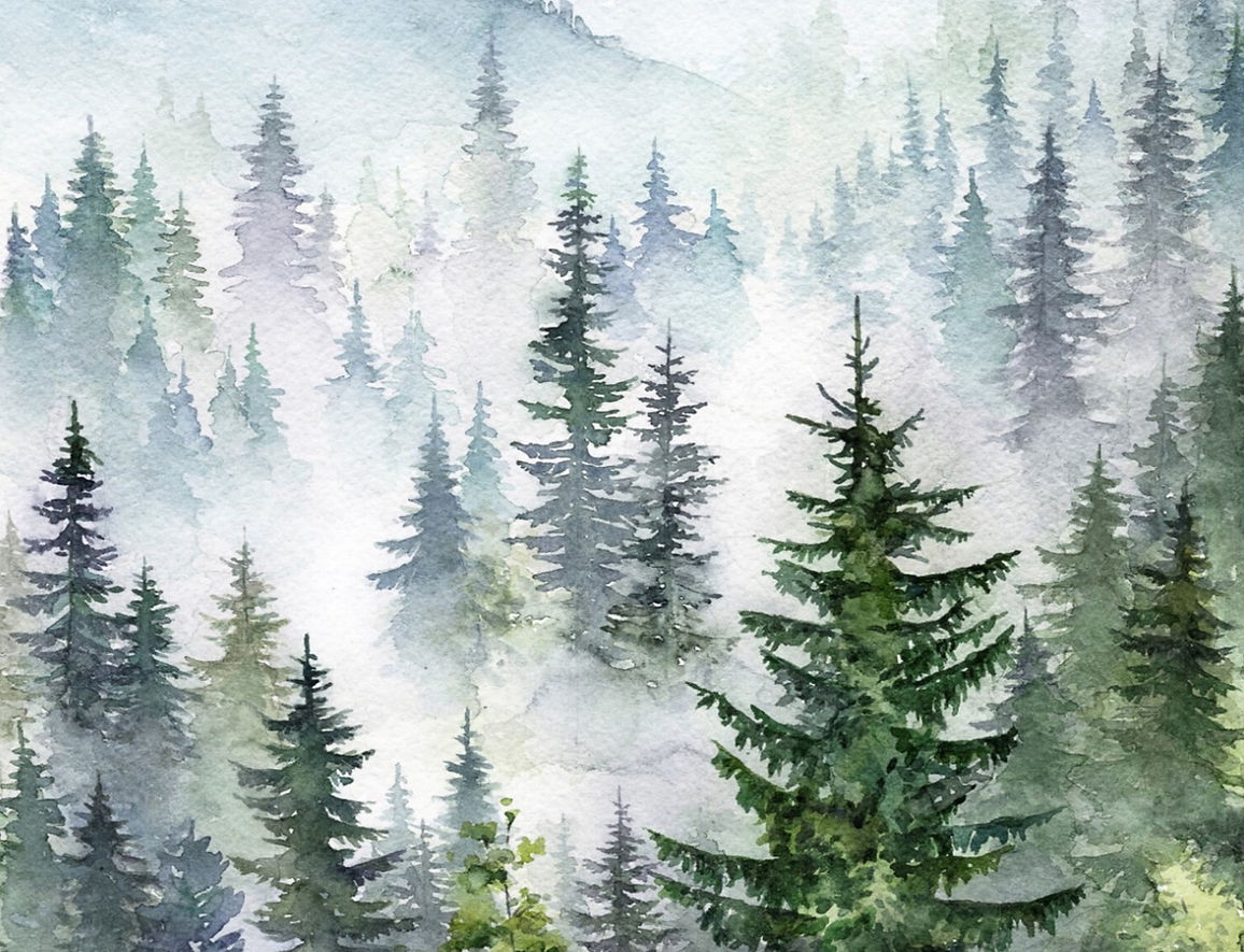 landscape mailer trees bearadise_edited.jpg