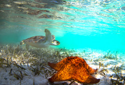 IMG_7251.jpeg