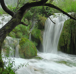 Arbre & chutes d'eau, évoquant la sérénité