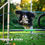 Thumbnail: Session 2: Training a deaf dog