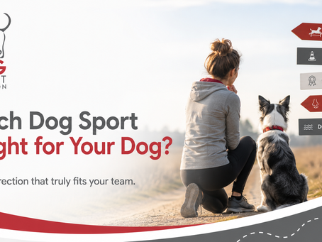 Which dog sport is right for your dog? Stop trying everything and discover the direction that truly fits your team