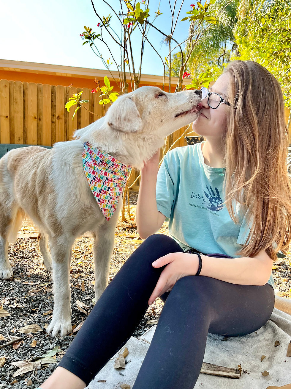 Thumbnail: Session 6: Living with deaf and blind dogs