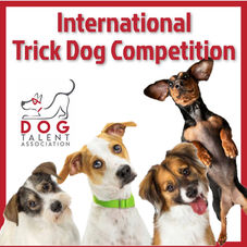 International Trick Dog Competition - why it is special?