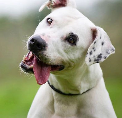 Image 26-05-2023 at 14.20.jpeg