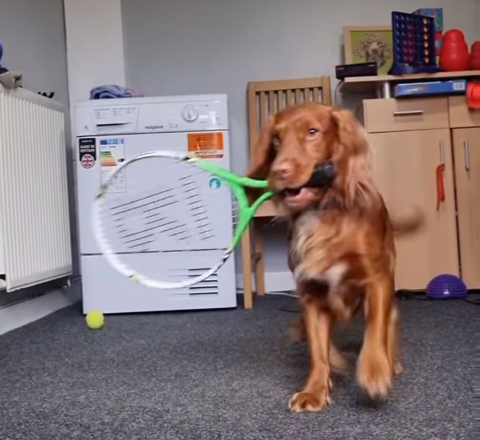 Thumbnail: Hold, carry, pull & push and other great mouth tricks