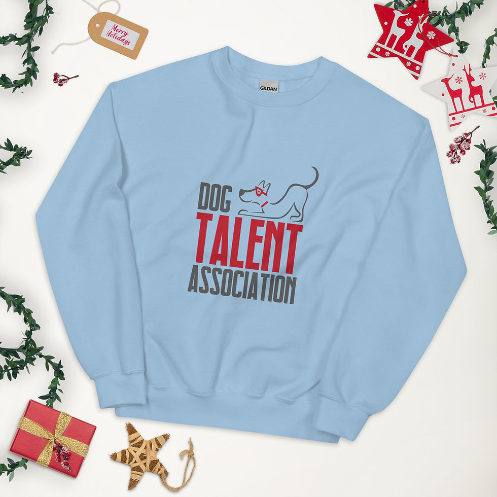 Thumbnail: DTA Unisex Sweatshirt