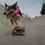 Thumbnail: Teach your dog to skateboard with Omar Von Muller