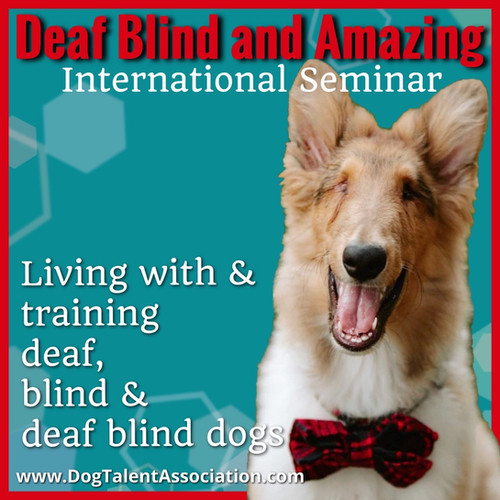 Session 6 Living with deaf and blind dogs DogTalentAssociation