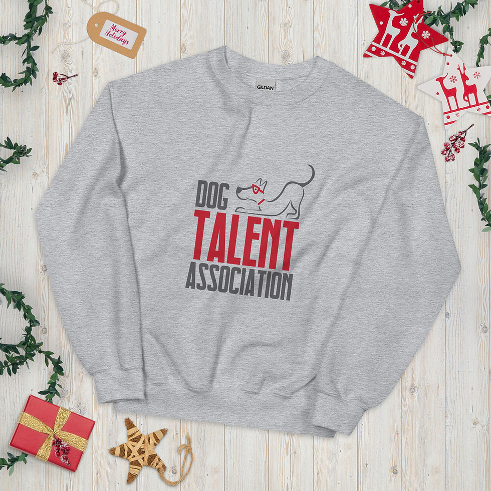 Thumbnail: DTA Unisex Sweatshirt