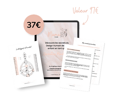 ‘ - 2026-01-13T222331.897.png