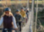 E-bike tour on the Gibbston Valley wine trail.