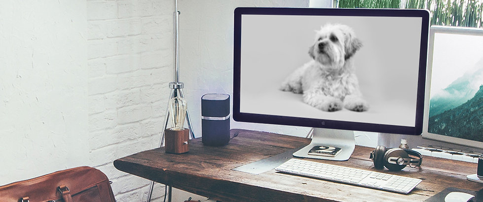 Work Desk