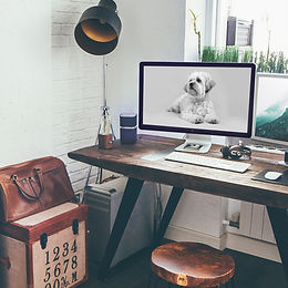 Freelance Franchises