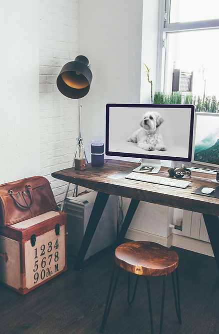 Work Desk