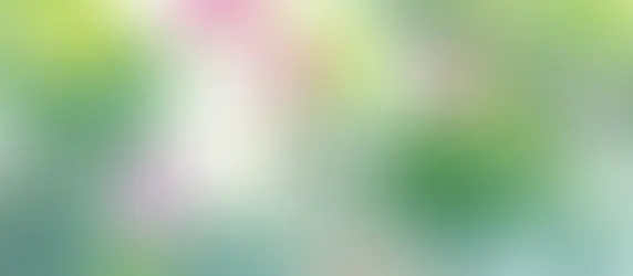 ワイパー女を卒業！自分も周りも幸せにする受け取り方