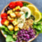 Paneer protien Meals/Month