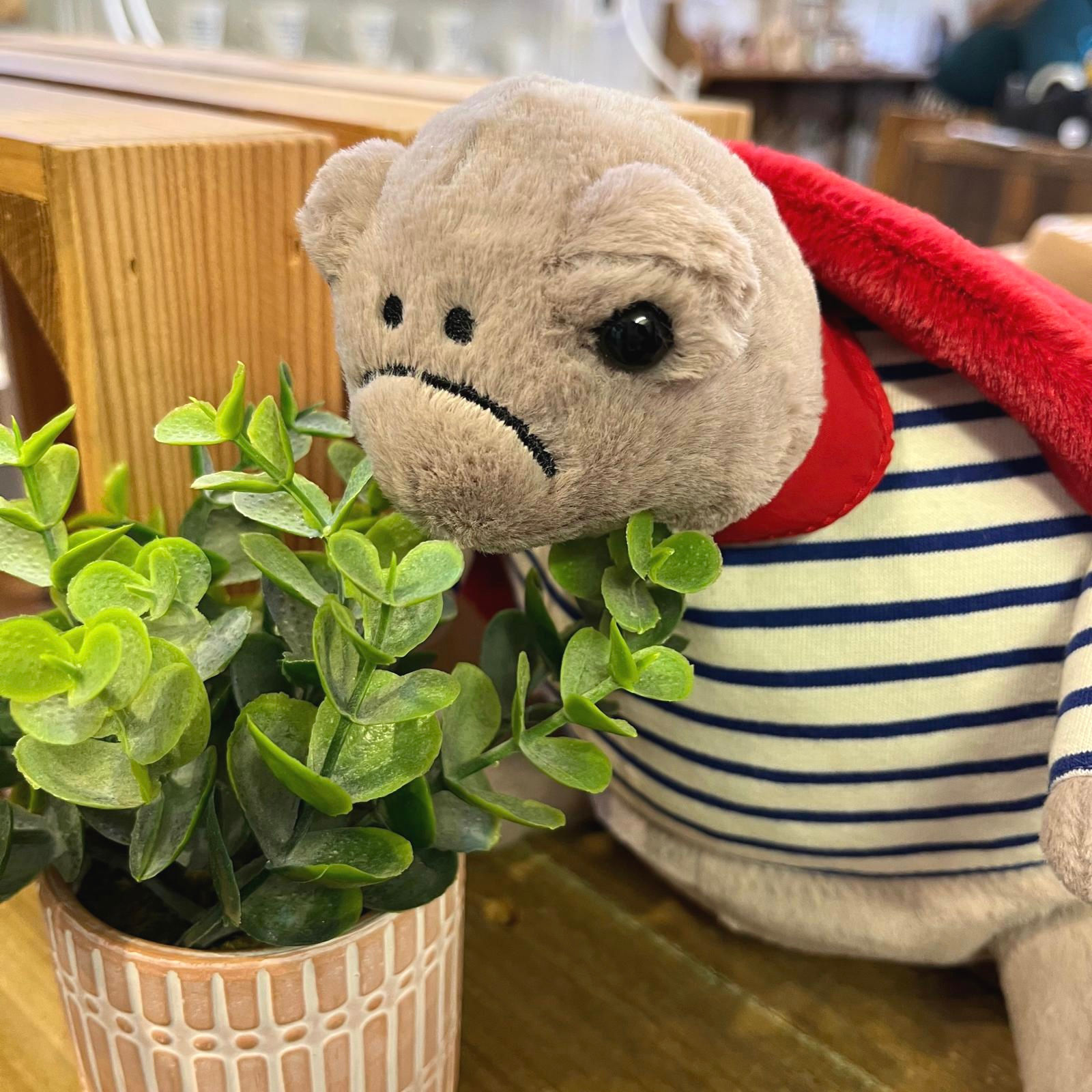 Jellycat Timmy Turtle Romantic Outfit