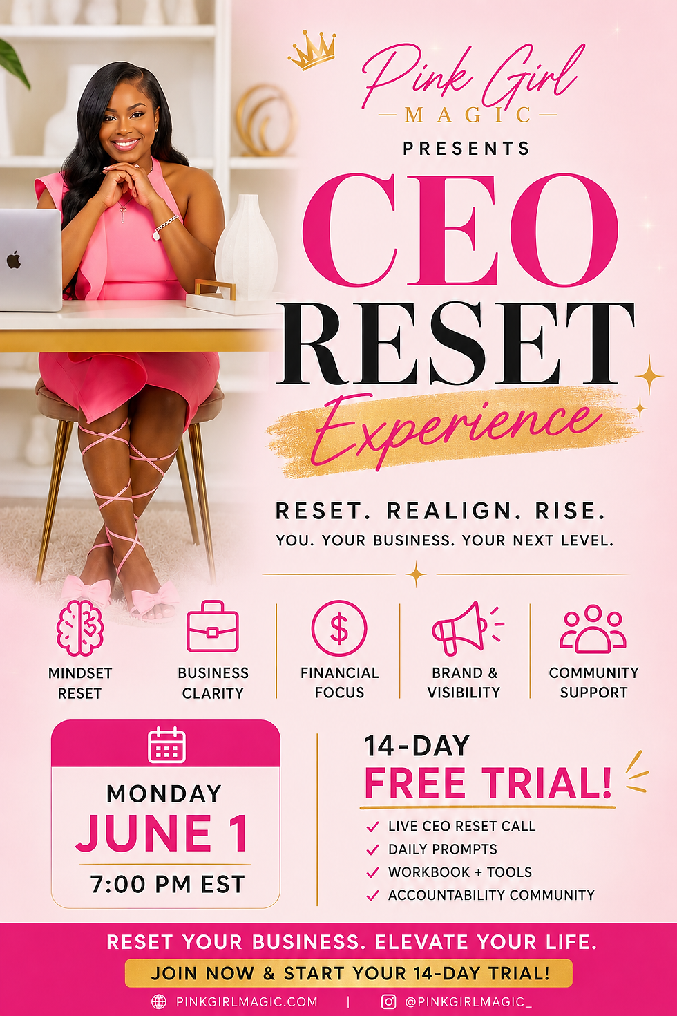 CEO Reset Experience