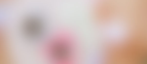 The Importance of Work-Life Balance for High-Level Professionals