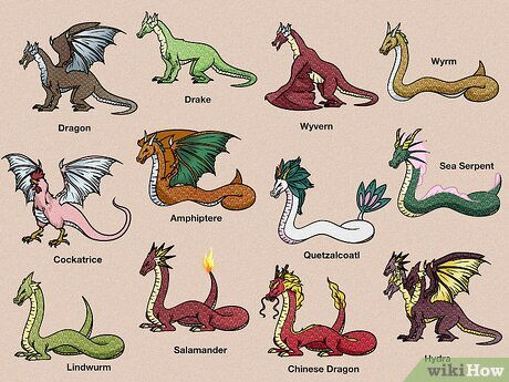 Dragons