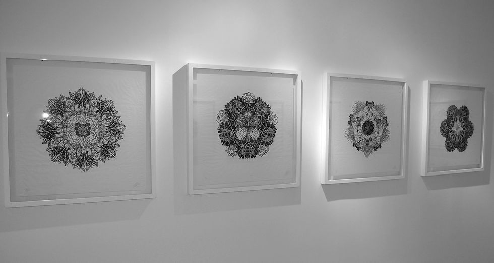 Eternamente Efímeros / Exposición en Taller Trez / 2015