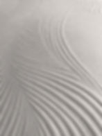 Naturalezas de papel / Intaglio - Rosaspina 250g