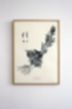 Herbario de una Expedición Gráfica / Rama peluda - Serigrafía / 2019