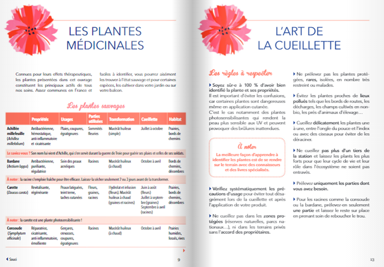 Miniature : Baumes et soins pour les petits bobos