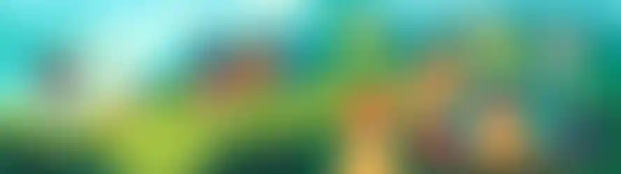 StellartKids_1-16.webp