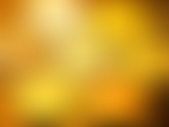 What is the Cryptocurrency Spot Market?