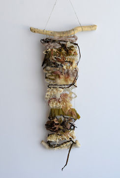 Seaweed Experiment (dried)