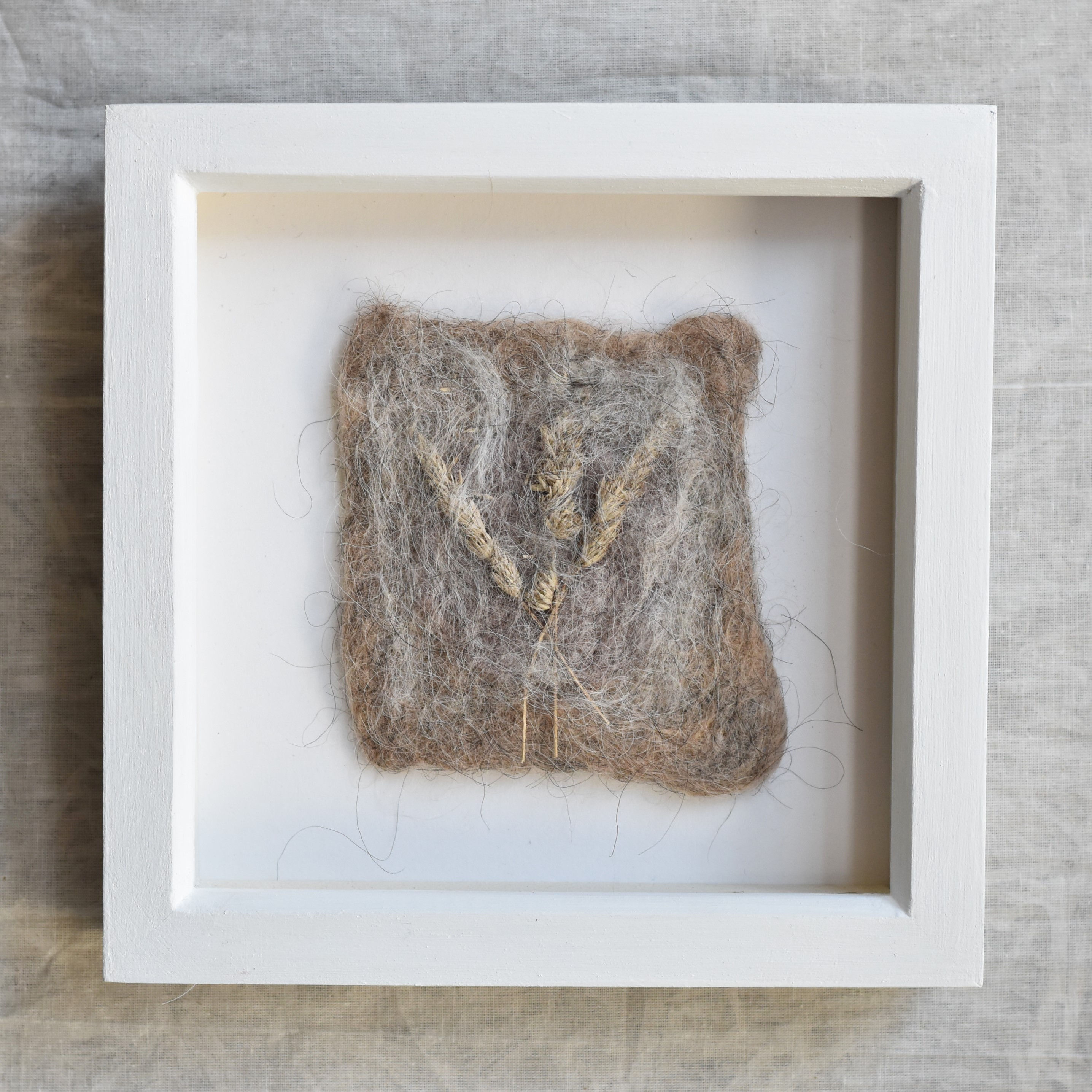 Felted Plant