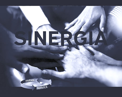 SINERGIA mani che si ncontrano