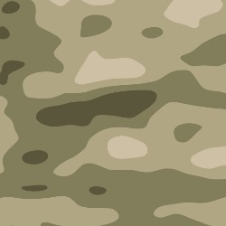 P27 - Multicam