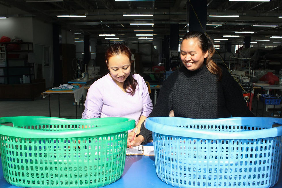 Quality team organising samples into baskets