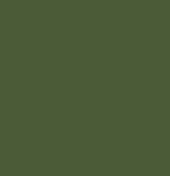 Color 30 - Olive