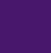 Color 17 - Purple