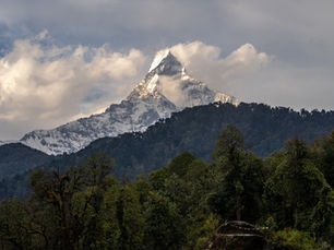 4 Aspects of Sustainability to Consider Before Your Next Purchase