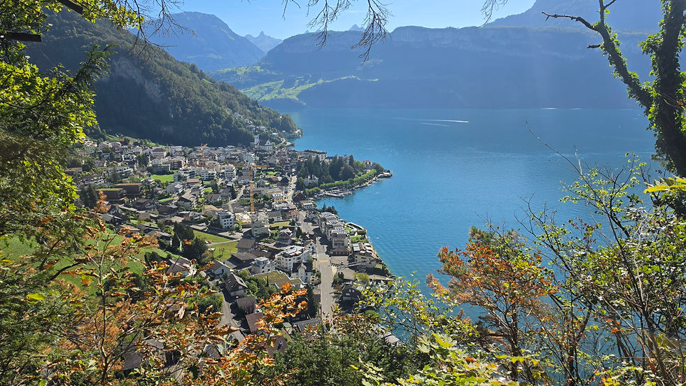 Blick auf Gersau 