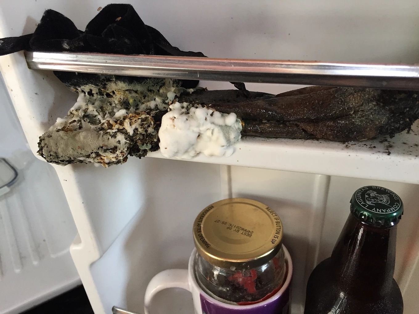 Storytime: Check The Fridge Before You Go! content media