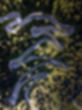 ariel shot of road winding through forest