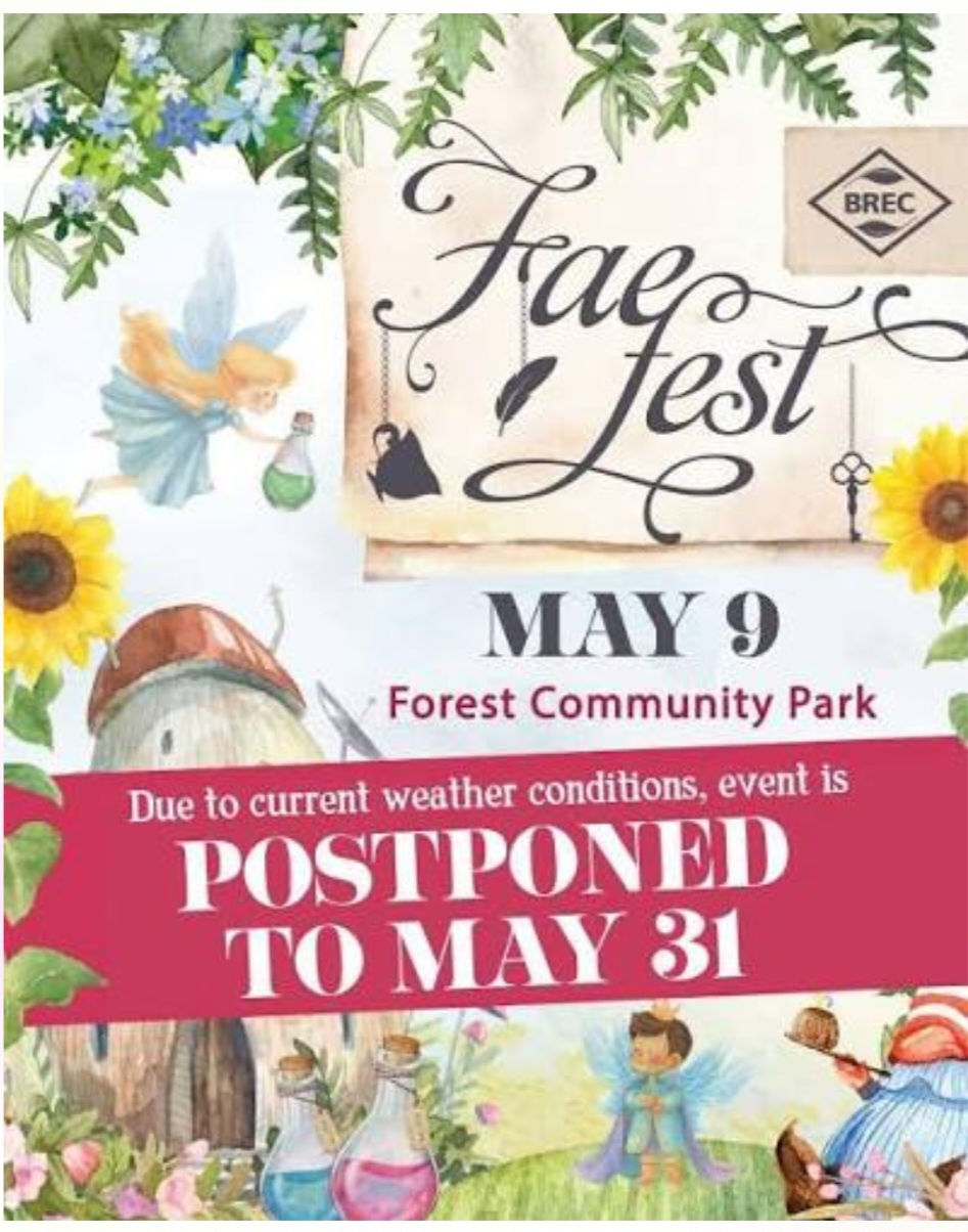 FAE FEST