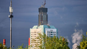 Москва, июнь 2026. Парк «Заповедный луг (Разнотравье)»