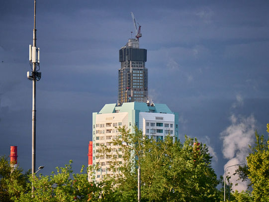 Москва, июнь 2026. Парк «Заповедный луг (Разнотравье)»